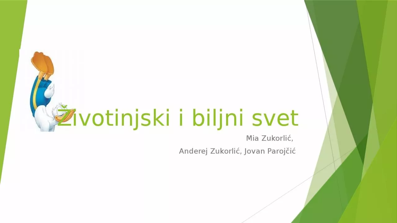 PPT-