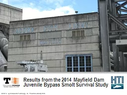 Results from the 2014 Mayfield Dam Juvenile Bypass Smolt Survival Study