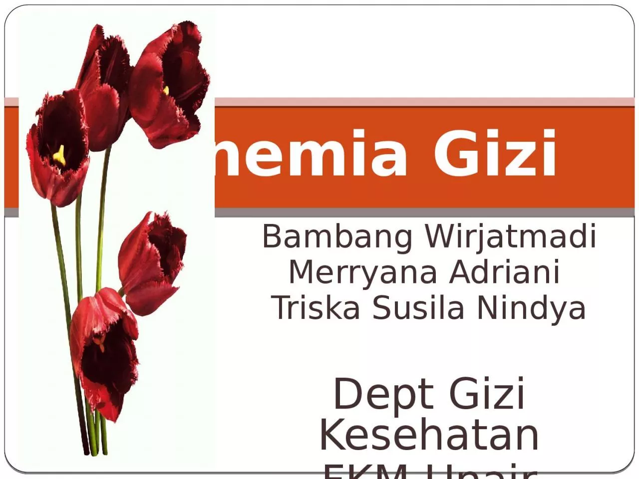 PPT-Anemia Gizi