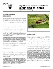 Entomological notes