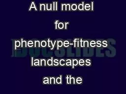 A null model for phenotype-fitness landscapes and the