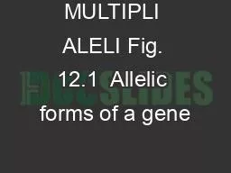 MULTIPLI ALELI Fig. 12.1  Allelic forms of a gene