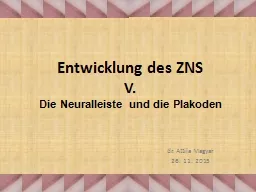 Entwicklung und Derivate der Neuralleiste und des Plakodektoderms