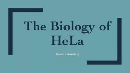 The Biology of HeLa Tamar Gartenberg