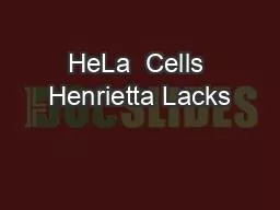 HeLa  Cells Henrietta Lacks