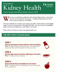 Eating Right for Kidney Health Tips for People with Ch