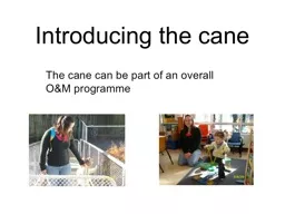 Introducing the cane The cane can be part of an overall O&M programme