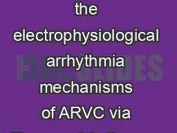 Analysis of the electrophysiological arrhythmia mechanisms of ARVC via multiparametric fluorescent