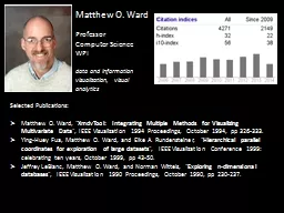 Matthew O. Ward Professor