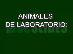 ANIMALES DE LABORATORIO: