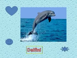 Delfini Delfini imajo tudi drugo ime, ki je