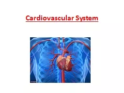 Cardiovascular System Parts of the Heart