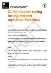 Guidelines for caring for injured and orphaned Echidna