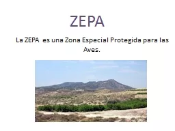 ZEPA La ZEPA es una Zona Especial Protegida para las Aves.