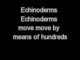 Echinoderms Echinoderms move move by means of hundreds