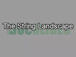 The String Landscape
