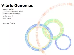 Vibrio  Genomes Naama   Dekel