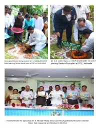 Honorable  Minister for Agriculture Sri. S. NIRANJAN REDDY GARU planting Sandal Wood plant at THTI