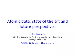 Atomic data: state of the art and future perspectives