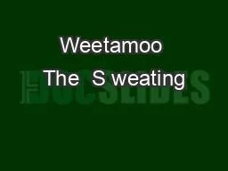 Weetamoo The  S weating