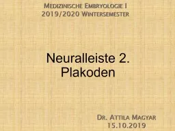 PPT-Neuralleiste 2. Plakoden