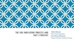 The Global SDG indicators process and