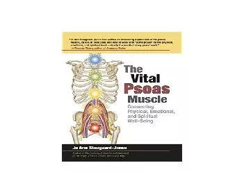 EPUB FREE  The Vital Psoas Muscle Connecting Physical Emotional and Spiritual WellBeing