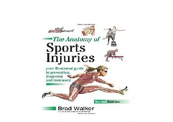 EPUB FREE  The Anatomy of Sports Injuries Your Illustrated Guide to Prevention Diagnosis