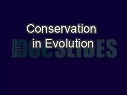 Conservation in Evolution