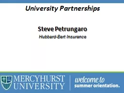 University Partnerships Steve