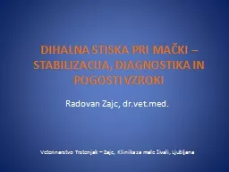 DIHALNA STISKA PRI MAČKI – STABILIZACIJA, DIAGNOSTIKA IN  POGOSTI VZROKI