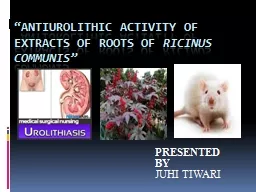 “ Antiurolithic  activity of Extracts of Roots of