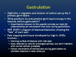 Gastrulation Definition  =