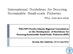 International Guidelines for Securing Sustainable Small-scale Fisheries