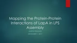 Mapping the Protein-Protein Interactions of