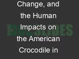 Sea Level Rise, Climate Change, and the Human Impacts on the American Crocodile in the Everglades N