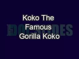 Koko The Famous Gorilla Koko