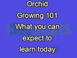 Orchid Growing 101 What you can expect to learn today: