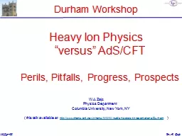 Durham Workshop Heavy Ion Physics