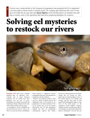 Solving eel mysteries to restock our rivers