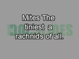Mites The tiniest  a rachnids of all.