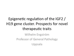 Epigenetic   regulation  of the IGF2 /H19 gene cluster.