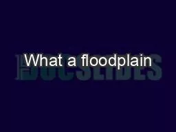 What a floodplain
