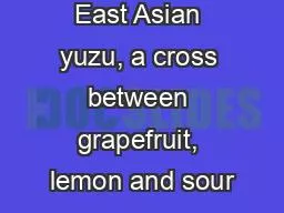Experience East Asian yuzu, a cross between grapefruit, lemon and sour
