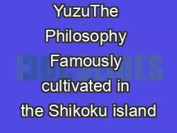 Sarari YuzuThe Philosophy Famously cultivated in the Shikoku island