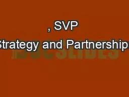 , SVP Strategy and Partnerships