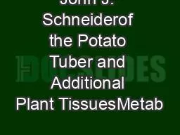 John J. Schneiderof the Potato Tuber and Additional Plant TissuesMetab