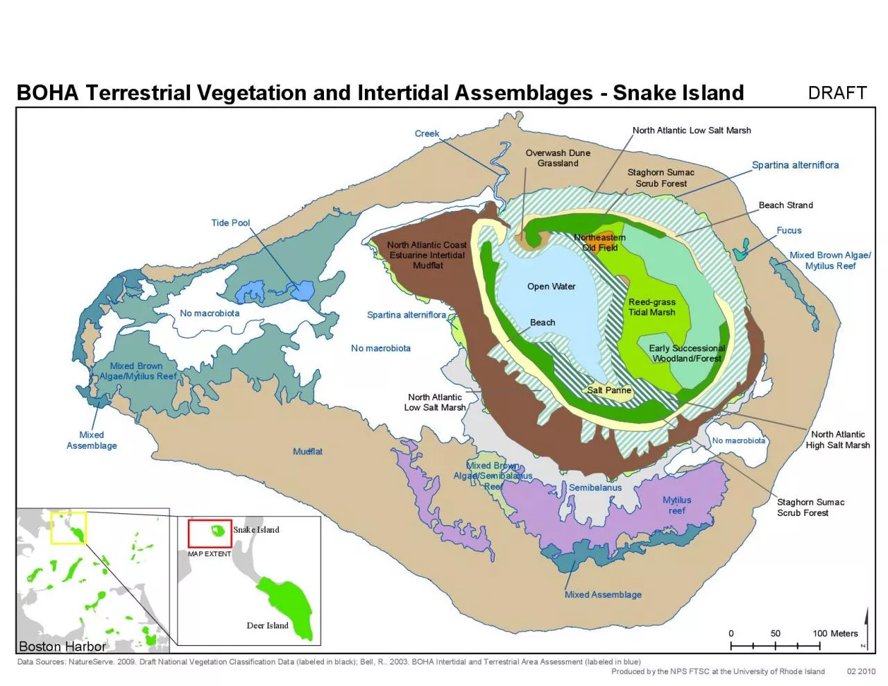 PDF-Spartina alterniflora