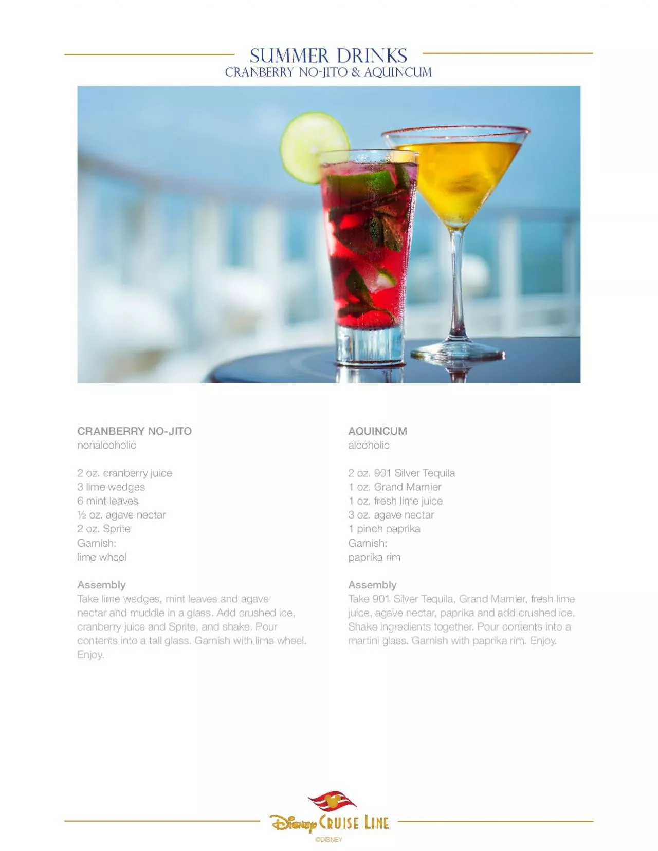 PDF-Summer drinksCranberry No-jito & aquincum