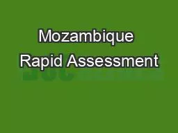 Mozambique Rapid Assessment